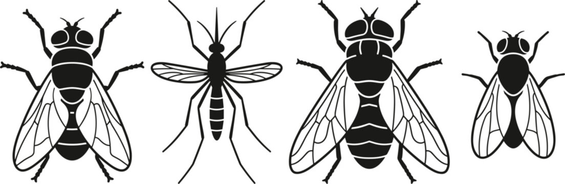 Pest Insect Silhouette Vector Set with Housefly, Mosquito, Horsefly, and Gnat Icons for Pest Control and Sanitation Designs