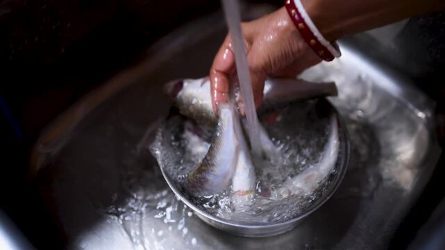 Indian married woman hygienically washing fresh raw Labeo bata fish in a kitchen basin before cooking. Close-up of clean fish preparation, traditional home cooking, and food safety.	