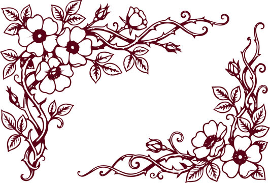Maroon floral corner border frame design with wild rose blossoms and thorny branches illustration botanical decorative ornamental transparant background abstract silhouette romantic