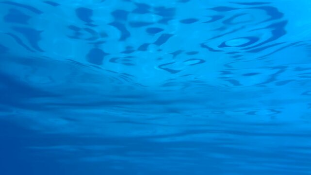 Calm underwater view showcases shimmering blue water in tropical pool. Relaxation and aquatic tranquility concept. Perfect setting for summer leisure, travel, or vacation