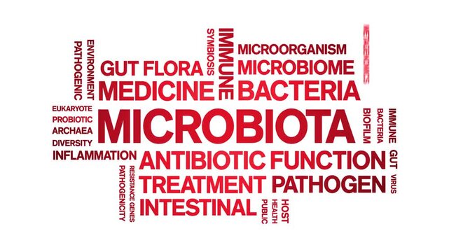 Microbiota animated word cloud-text design animation tag kinetic typography seamless loop.