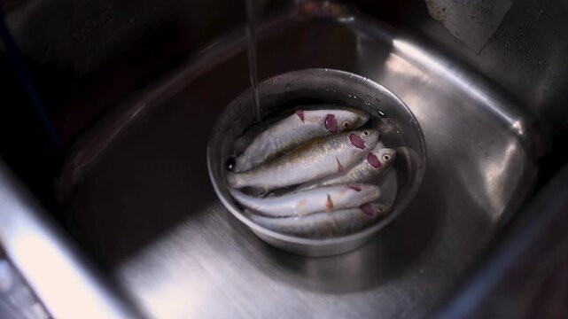 Indian married woman hygienically washing fresh raw Labeo bata fish in a kitchen basin before cooking. Close-up of clean fish preparation, traditional home cooking, and food safety.	