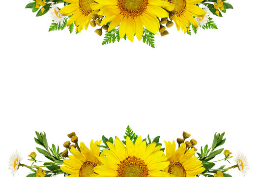 Sunflowers and wild flowers in summer floral top and bottom arrangements isolated on white or transparent background