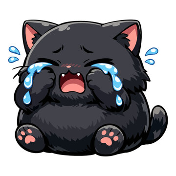 The chubby crybaby kitten