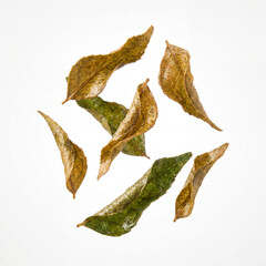 Fototapeta premium Fried Curry Leaves Scattered, Isolated on White Background (AI Generated)