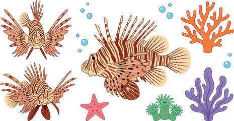  Flat vector design of lionfish underwater wildlife elements with tropical coral reef starfish and ocean bubbles © Nasrin
