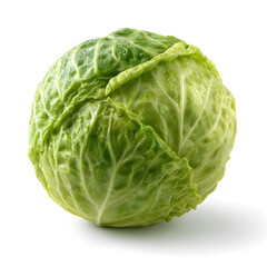 Fototapeta premium Cabbage