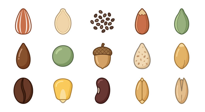 Assorted seeds and nuts icons set for healthy food and agriculture design