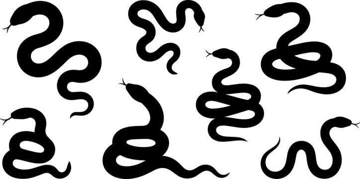 Vector silhouette set of crawling and coiled snakes icons in various positions isolated on a white background