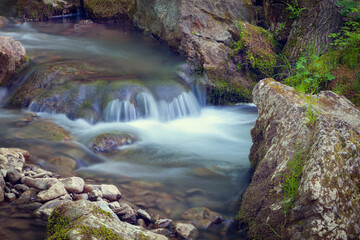 Pieniny. Górski potok. © Janusz Lipiński