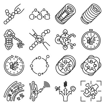 Cell biology icons depicting molecular processes and cellular structures clean line art for science and education