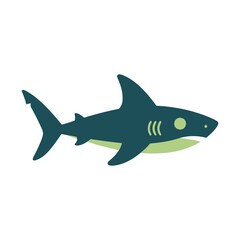 Fototapeta premium Stylized Shark Illustration