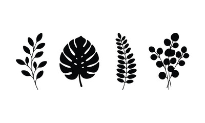 Minimalist modern cute black botanical leaves silhouette vector set. Elegant clipart collection with lovely hand-drawn monstera, fern, and eucalyptus leaf doodles. © JenniCraft Studio