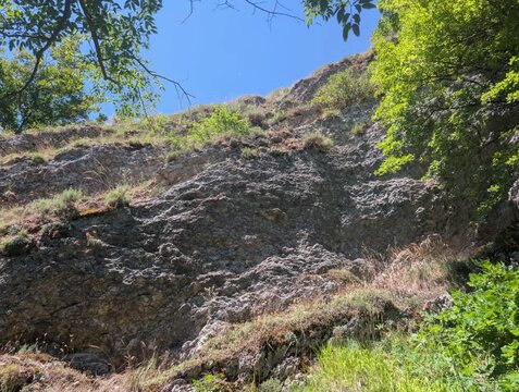 Ripida parete rocciosa e costone di montagna con vegetazione spontanea. La clip inquadra dal basso un versante scosceso di roccia e terra battuta intervallato da ciuffi d'erba e alberi