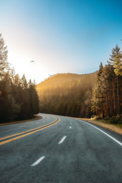 Sunlit mountain highway curving through the forest