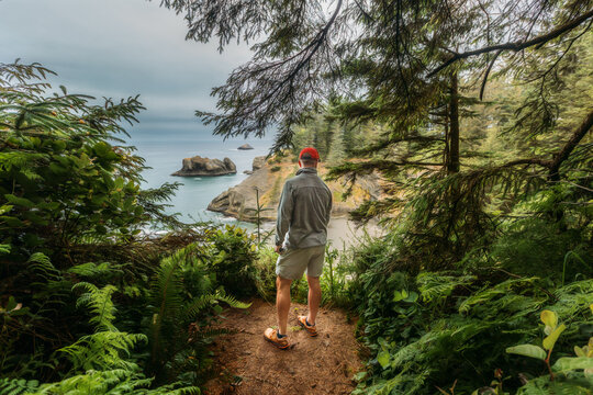 Man on forest path overlooking a rugged coastline