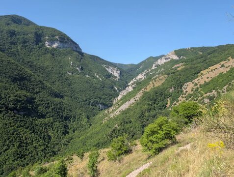 Spettacolare gola montana con pareti rocciose e fitti boschi verdi. La clip immortala un profondo canyon naturale sotto un cielo limpido