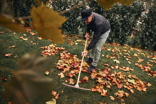 Man cleaning garden from fallen autumn leaves.