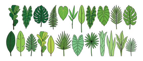 Collection of various green tropical leaves on white background for design and decoration purposes  leaves for graphic design © Kumot Roy