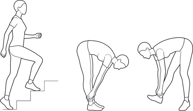 Woman Performing Step Up and Standing Hamstring Stretch Exercise Set Line Art Vector Illustration.