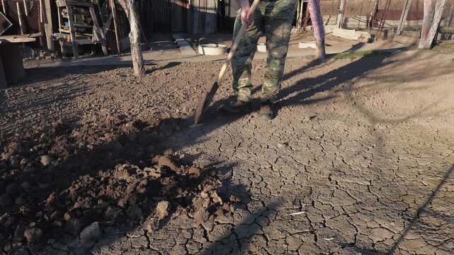 A man digs soil with a bayonet shovel for planting in a vegetable garden on a cool spring evening
