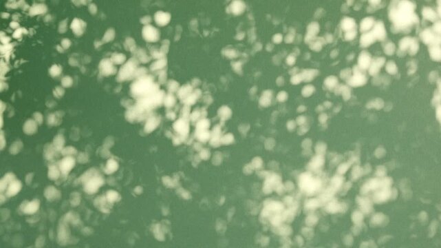 Bokeh in green color from leaves shadows silhouette on wind overlay abstract background, soft light reflection from leaves, tree branch in summer sunlight.