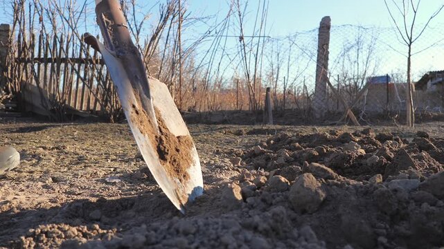A man digs soil with a bayonet shovel for planting in a vegetable garden on a cool spring evening, close-up