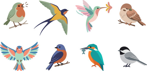 Vector Illustration Set of Diverse Cute Little Birds Species © ARIFUL