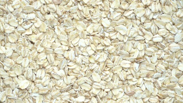 A screen full of oat flakes swirling slowly.