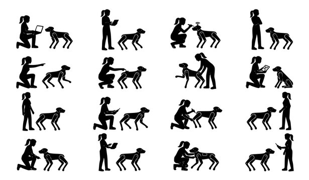 Horse Riding Silhouette Collection Featuring Equestrian Training Jumping and Riding Pose Vector Set