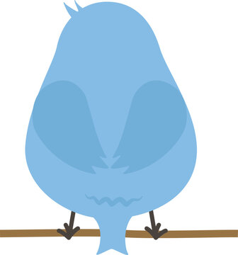 青い鳥の後ろ姿