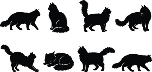 Fototapeta premium Long Haired Cat Silhouette Collection with Standing Sitting Walking and Resting Poses