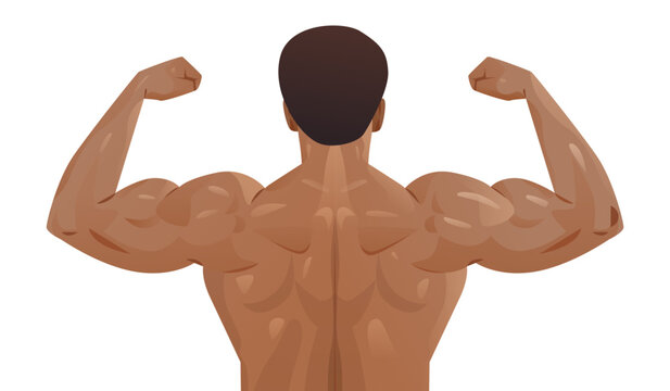 Muscular man flexing back muscles fitness strength healthy body active lifestyle strong male physique bare torso isolated on white
