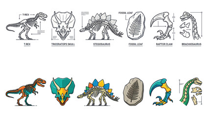 Dinosaur Skeletons and Fossils Collection © bibis