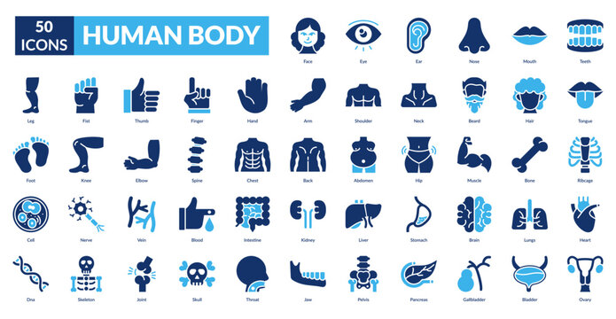 Human Body Fill Icon Set. Face, Eye, Ear, Nose, Mouth, Teeth, Tongue
