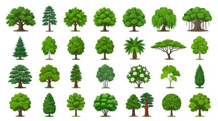 Various Tree Species Vector Icon Set © Bilya 01