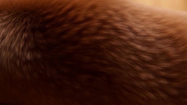 Static shot of close-up brown animal fur texture flowing in smooth waves