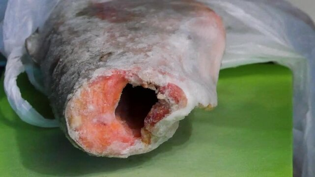 Man is sawing a frozen fish with a hacksaw. Preparation of raw salmon for cooking process in kitchen. Cold food ingredient processing for culinary meal recipe.
