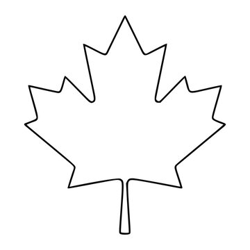 Elegant hand-traced maple leaf vector icon featuring refined line work and graceful curves, ideal for seasonal branding, nature collections, and minimalist botanical illustration sets