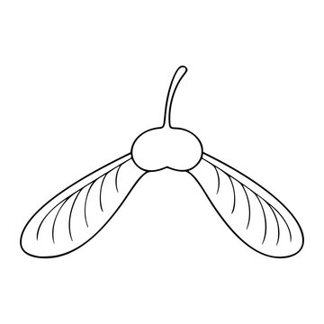 Elegant Maple Samara Vector Illustration, Refined Hand-Drawn Line Icon with Symmetrical Winged Seed Structure and Delicate Vein Details for Premium Botanical Graphic Resources