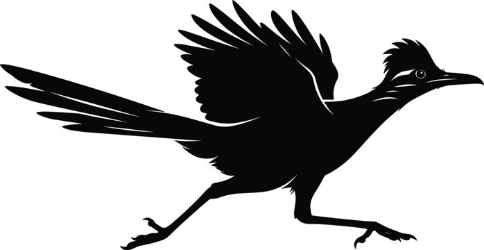 Running roadrunner bird side view black silhouette vector graphic with open wings and long tail feather