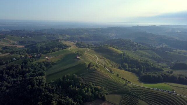 Sweeping drone video of lush vineyards and rolling hills bathed in gentle morning light, capturing serene countryside and scenic landscape vistas.