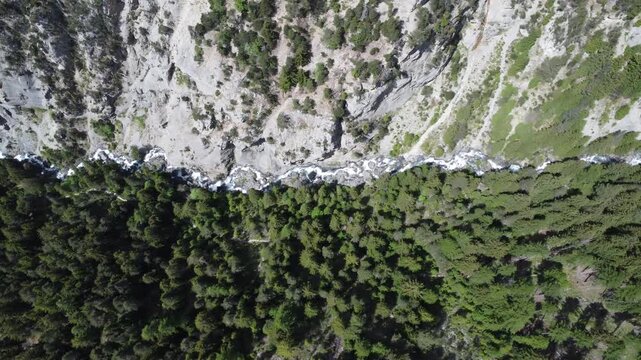 mountain river seperates the forest and the rocks, la raspille in valais (by drone)