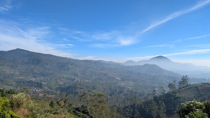 Fototapeta premium Panoramic Tea Plantation Landscape in Bandung, West Java, Indonesia Under Blue Sky