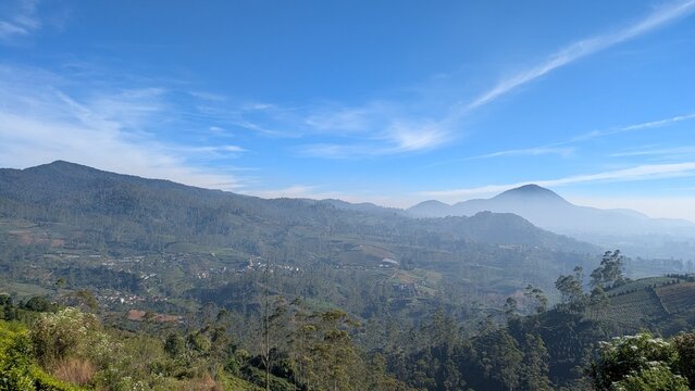Panoramic Tea Plantation Landscape in Bandung, West Java, Indonesia Under Blue Sky