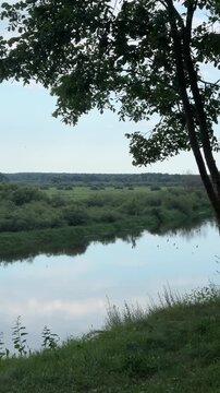 Scenic summer landscape of a calm winding river with a flock of wild birds flying, nature freedom concept