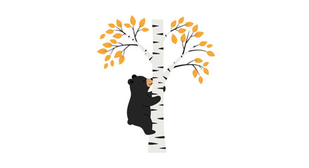 Black bear cub climbing a birch tree with autumn leaves © jaka
