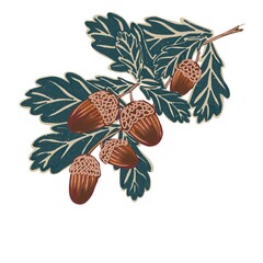 Oak branch with acorns and autumn leaves © Anna