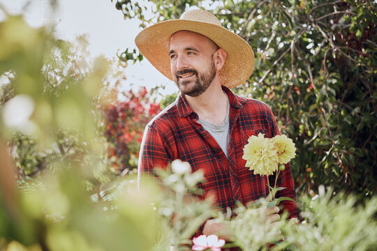 Smiling man in a hat gardening with dahlia flower outdoors in London allotment