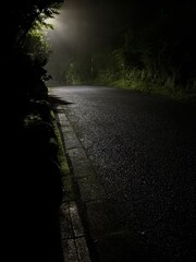 雨上がりの夜道 © Matsudondon